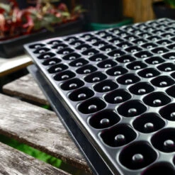 Meyer Uttryckare Till 150 Celler -Meyer Sales Shop 150 cell uttryckare i pluggbratte