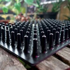 Meyer Uttryckare Till 150 Celler -Meyer Sales Shop 150 cell uttryckare piggar