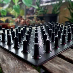 Meyer Uttryckare Till 77 Celler -Meyer Sales Shop 77 cell uttryckare piggar