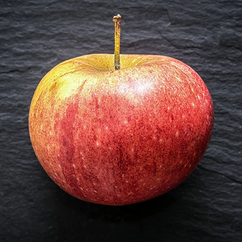 Äpple 'Cox Pomona' 2 Äpple 'Cox Pomona' - Image 2