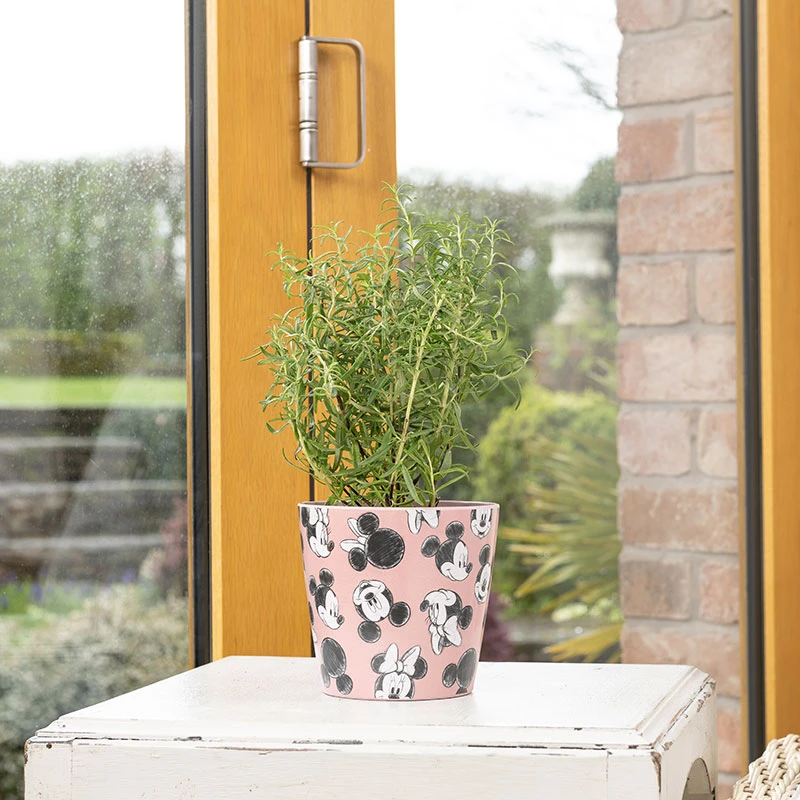 Eco Bambukruka 3-set Mickey, Rosa 2 Eco Bambukruka 3-set Mickey, Rosa - Image 2