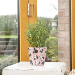 Eco Bambukruka 3-set Mickey, Färgmix -Meyer Sales Shop eco bambukruka 3 set mickey rosa disney