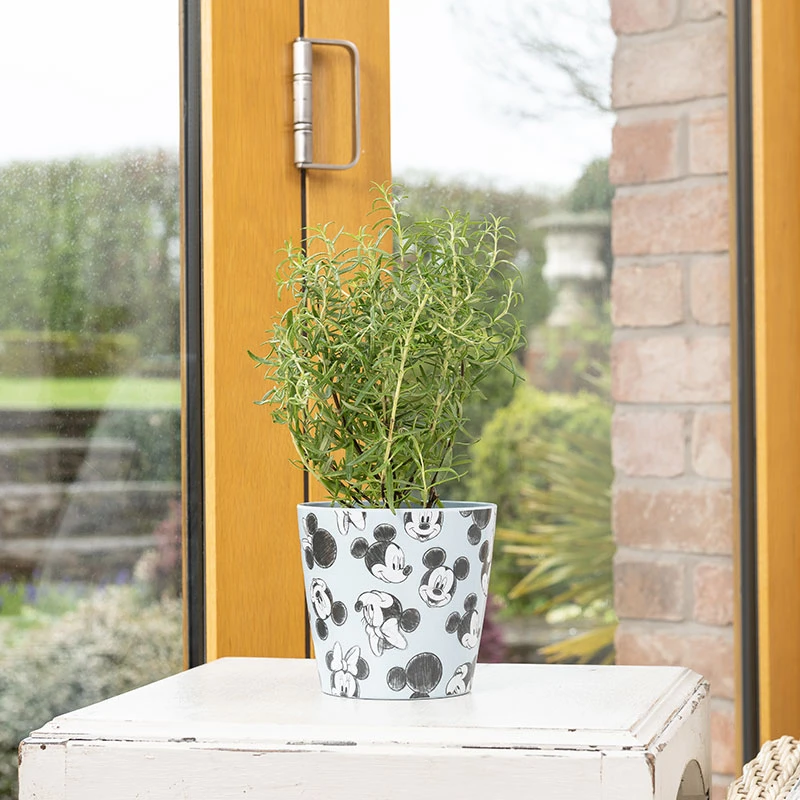 Eco Bambukruka 3-set Mickey, Blå 2 Eco Bambukruka 3-set Mickey, Blå - Image 2