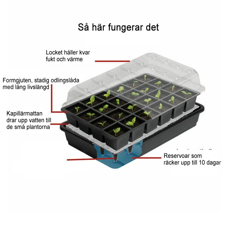 Seed Success Miniväxthus Med Bevattning, 12 Celler 2 Seed Success Miniväxthus Med Bevattning, 12 Celler - Image 2