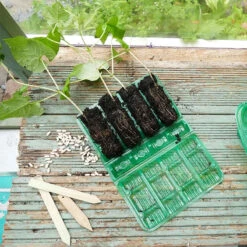 Gro-sure 4 Djupa Celler, 12-pack