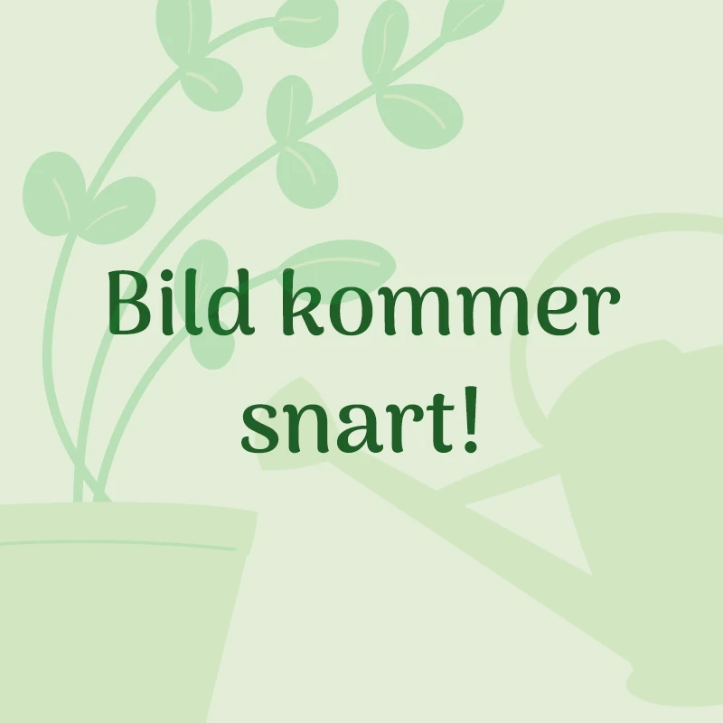 Gro-sure 4 Djupa Celler, Kit 3 Gro-sure 4 Djupa Celler, Kit - Image 3