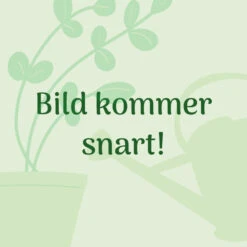 Gro-sure 4 Djupa Celler, Kit 7 Gro-sure 4 Djupa Celler, Kit -Meyer Sales Shop gro sure 4 djupa celler kit miljobild