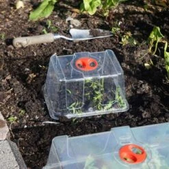 Minidrivhus Liten Utan Hål, 3-pack -Meyer Sales Shop kupa till minidrivhus liten i koksland wh