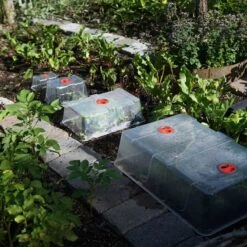 Kupa Till Minidrivhus, XL -Meyer Sales Shop kupor till minidrivhus i koksland wh1