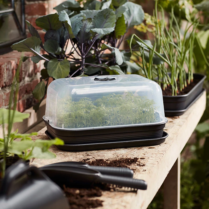 Elho Kupa Green Basics, Medium 2 Elho Kupa Green Basics, Medium - Image 2