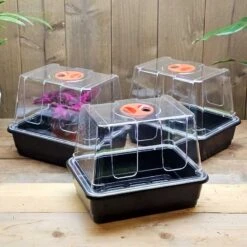 Minidrivhus Liten Utan Hål, 3-pack