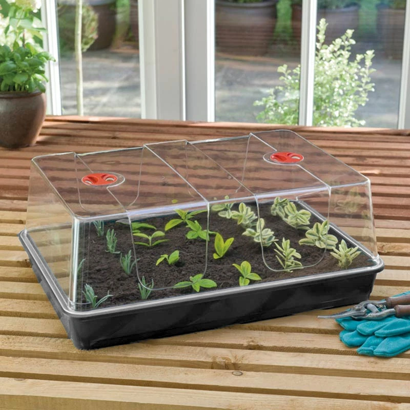 Minidrivhus XL, Svart 1 Minidrivhus XL, Svart