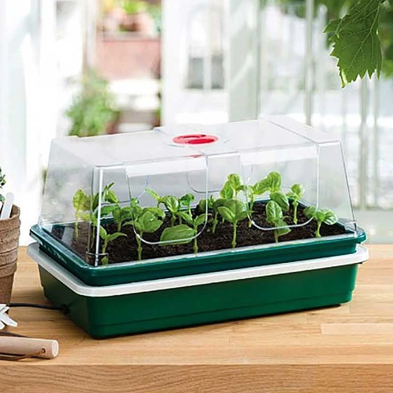 Miniväxthus Med Undervärme 1 Miniväxthus Med Undervärme