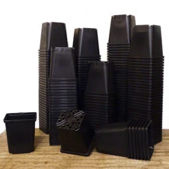 Meyer Perennkruka 11 X 11 Cm, 555 St