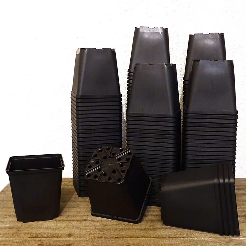 Meyer Perennkruka 13 X 13 Cm, 420 St 1 Meyer Perennkruka 13 X 13 Cm, 420 St