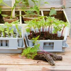 Pluggbox - PlantStart -Meyer Sales Shop plantstart pluggbox2