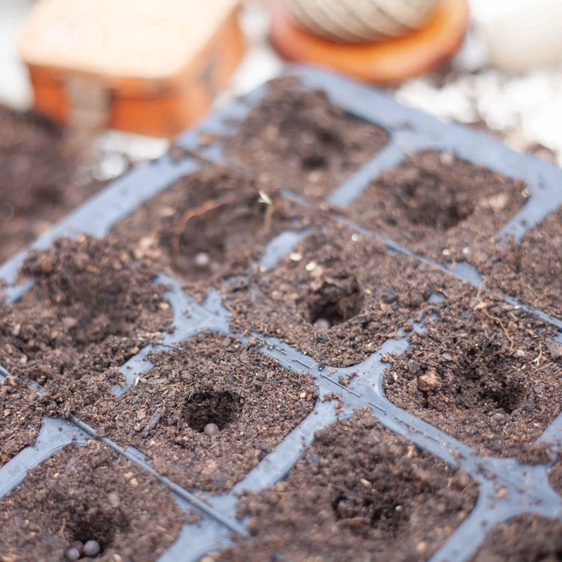 Pluggbrätte Av Naturgummi 20 Celler, Delbart 3 Pluggbrätte Av Naturgummi 20 Celler, Delbart - Image 3