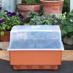 Minidrivhus Rootmaster, Brun 5 Minidrivhus Rootmaster, Brun -Meyer Sales Shop rootmaster med lock