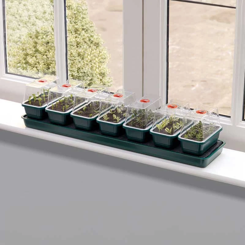 Miniväxthus Med Bevattning För Fönsterbrädan - 7 Kupor 1 Miniväxthus Med Bevattning För Fönsterbrädan - 7 Kupor