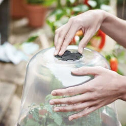 Elho Kupa Till Kruka Green Basics, 30 Cm -Meyer Sales Shop ventilation pa kupa green basics 30 cm 2