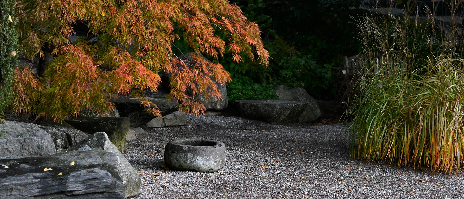 Front Page -Meyer Sales Shop banner971